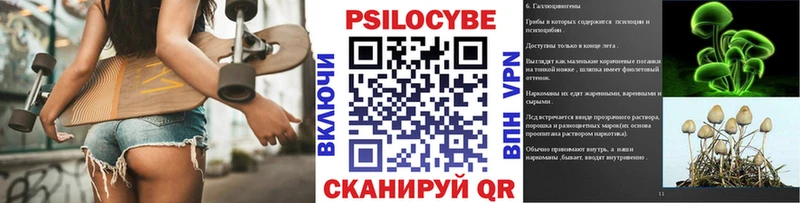 Псилоцибиновые грибы Magic Shrooms  как найти закладки  Электрогорск 